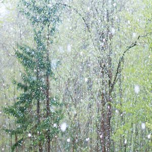 特黄AAAAAAAAA毛片免费无可难
