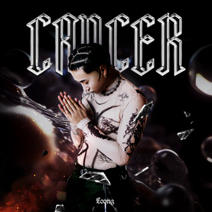 特黄AAAAAAAAA毛片免费无可难
