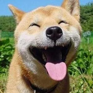 特黄AAAAAAAAA毛片免费无可难
