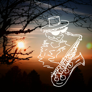 特黄AAAAAAAAA毛片免费无可难
