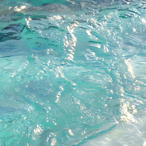 特黄AAAAAAAAA毛片免费无可难
