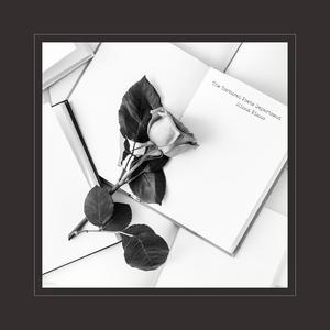 特黄AAAAAAAAA毛片免费无可难
